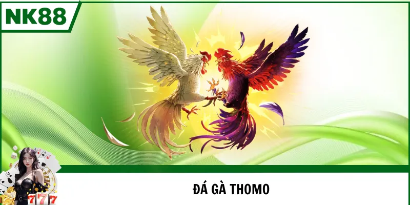 đá gà thomo