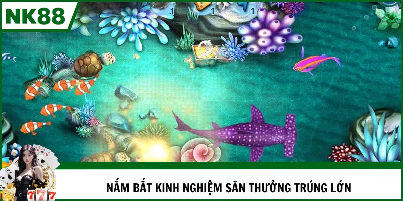 Nắm bắt kinh nghiệm săn thưởng trúng lớn
